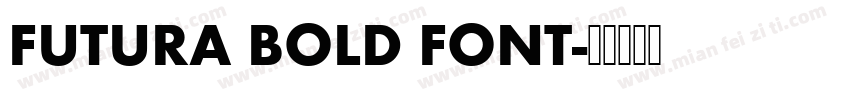 FUTURA BOLD FONT字体转换